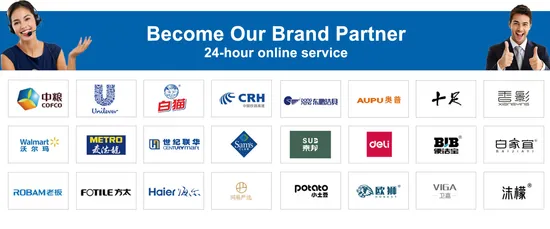 Kitchen Liquid Soap Built-in Lotion Pump Plastic Bottle 350ml Sink Soap Dispenser